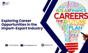 Exploring Career Opportunities in the Import-Export Industry,