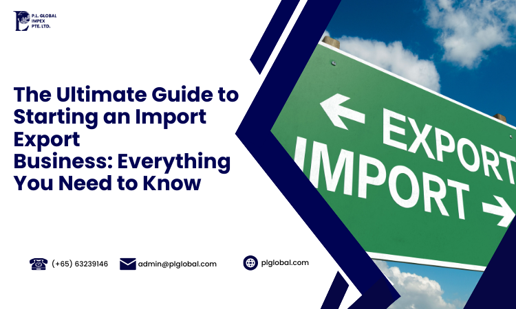 how to start a import export business.