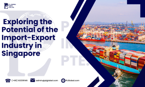 Exploring the Potential of the Import-Export Industry