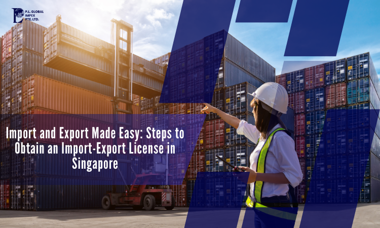 Steps to Obtain an Import-Export License in Singapore