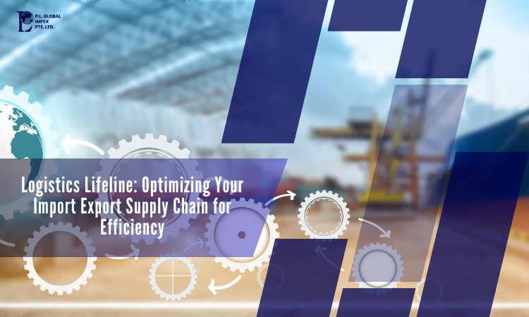 Optimizing Your Import Export Supply Chain for Efficiency