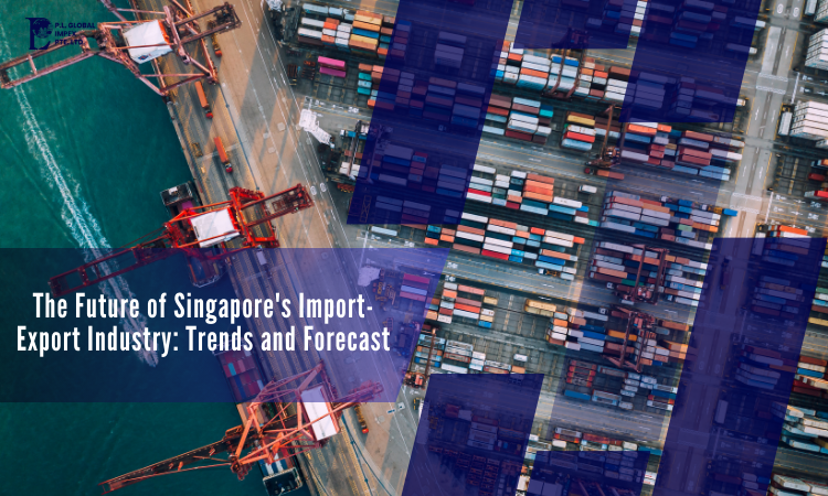Future of Singapore's Import-Export Industry