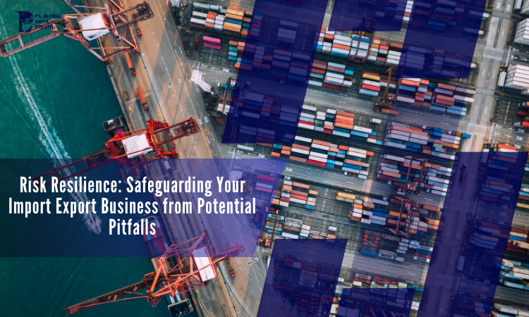 Your Import Export Business from Potential Pitfalls