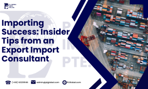 Insider Tips from an Export Import Consultant
