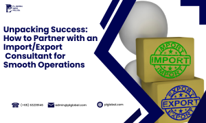 Partner with an Import/Export Consultant for Smooth Operations