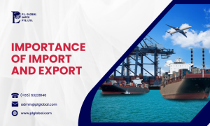 Importance of Import and Export to a country