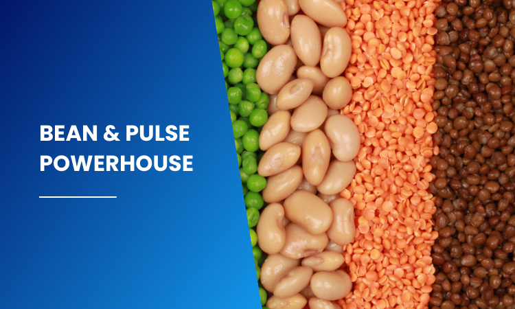 Bean & Pulse Powerhouse