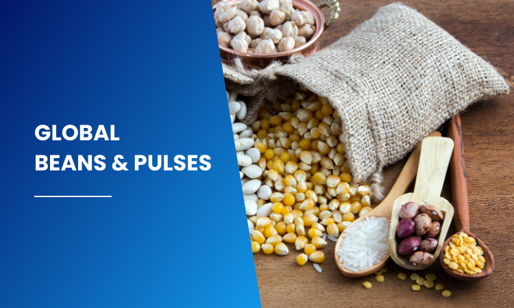Global Beans & Pulses