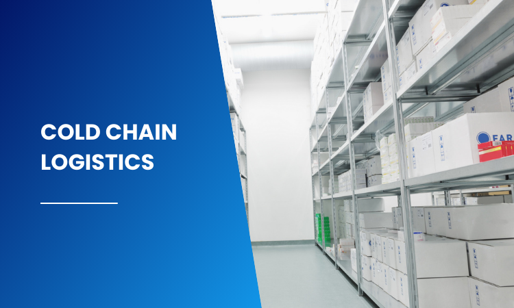Cold Chain Logistics for Pharmaceutical